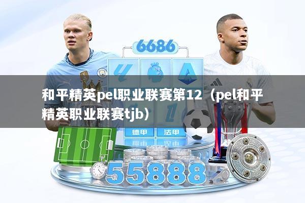 和平精英pel职业联赛第12（pel和平精英职业联赛tjb）