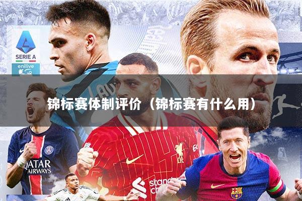 锦标赛体制评价（锦标赛有什么用）